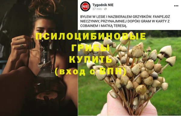 молекула духа Армянск