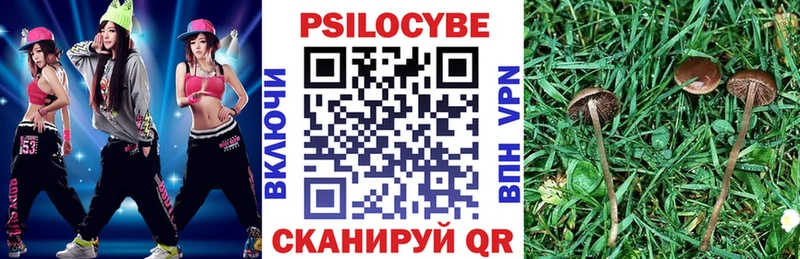 Галлюциногенные грибы Psilocybine cubensis  наркота  Пущино 
